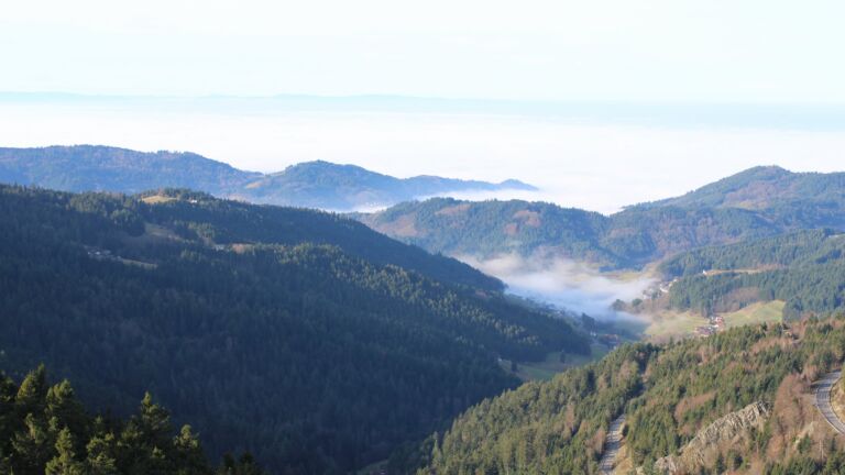 Dieses Bild zeigt eine Webcam-Aufnahme vom Achertal, aufgenommen am Sonntag, den 21.12.2025 um 11:30 Uhr. Die Temperatur betrug 6.5°C.