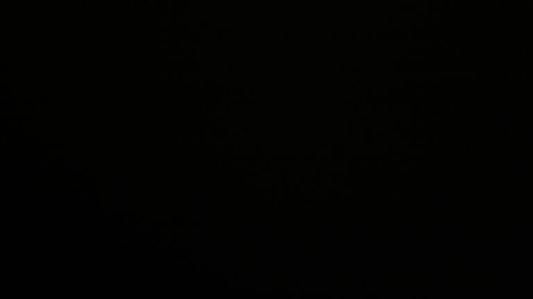 Dieses Bild zeigt eine Webcam-Aufnahme vom Achertal, aufgenommen am Samstag, den 29.11.2025 um 02:00 Uhr. Die Temperatur betrug 3.8°C.