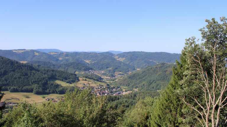 Dieses Bild zeigt eine Webcam-Aufnahme vom Achertal, aufgenommen am Freitag, den 07.08.2026 um 09:50 Uhr. Die Temperatur betrug 22.8°C.