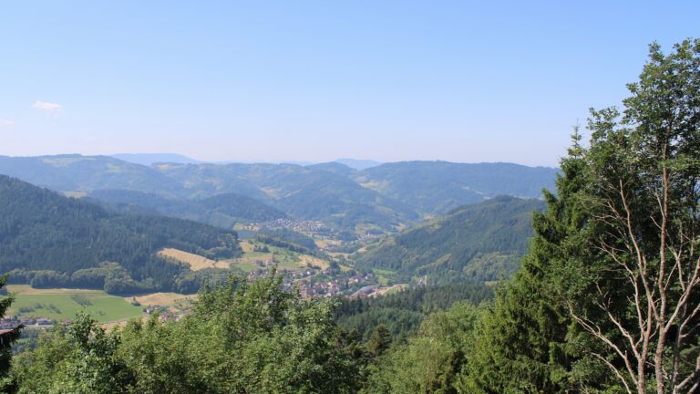 Dieses Bild zeigt eine Webcam-Aufnahme vom Achertal, aufgenommen am Mittwoch, den 24.06.2026 um 11:30 Uhr. Die Temperatur betrug 28.6°C.