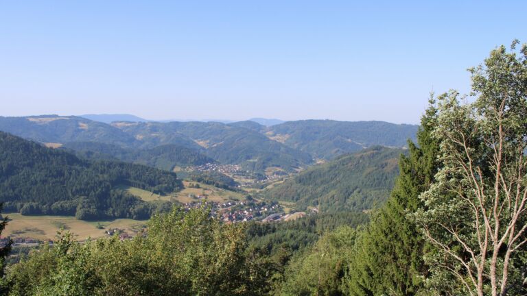 Dieses Bild zeigt eine Webcam-Aufnahme vom Achertal, aufgenommen am Dienstag, den 11.08.2026 um 09:50 Uhr. Die Temperatur betrug 23.4°C.