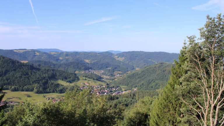 Dieses Bild zeigt eine Webcam-Aufnahme vom Achertal, aufgenommen am Dienstag, den 21.07.2026 um 08:50 Uhr. Die Temperatur betrug 17°C.