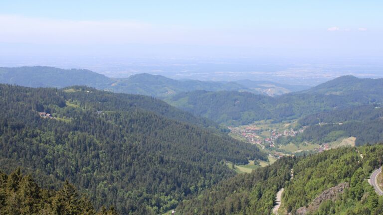Dieses Bild zeigt eine Webcam-Aufnahme vom Achertal, aufgenommen am Donnerstag, den 15.05.2025 um 12:50 Uhr. Die Temperatur betrug 12.3°C.