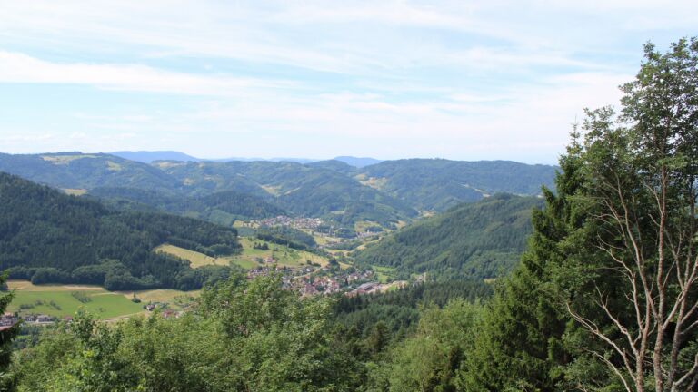 Dieses Bild zeigt eine Webcam-Aufnahme vom Achertal, aufgenommen am Freitag, den 03.07.2026 um 12:10 Uhr. Die Temperatur betrug 20.8°C.