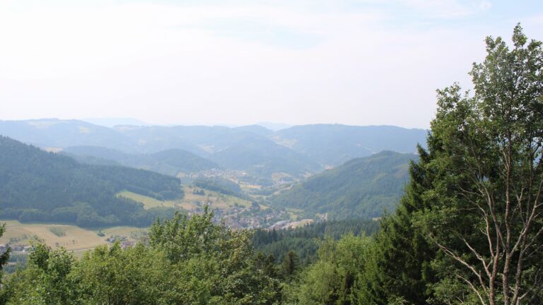 Dieses Bild zeigt eine Webcam-Aufnahme vom Achertal, aufgenommen am Freitag, den 31.07.2026 um 13:10 Uhr. Die Temperatur betrug 30.9°C.