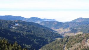 Dieses Bild zeigt eine Webcam-Aufnahme vom Achertal, aufgenommen am Donnerstag, den 05.02.2026 um 11:50 Uhr. Die Temperatur betrug 6.5°C.