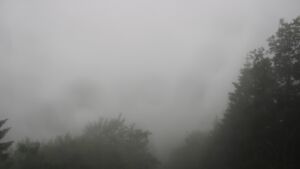 Dieses Bild zeigt eine Webcam-Aufnahme vom Achertal, aufgenommen am Freitag, den 12.06.2026 um 06:50 Uhr. Die Temperatur betrug 8.5°C.