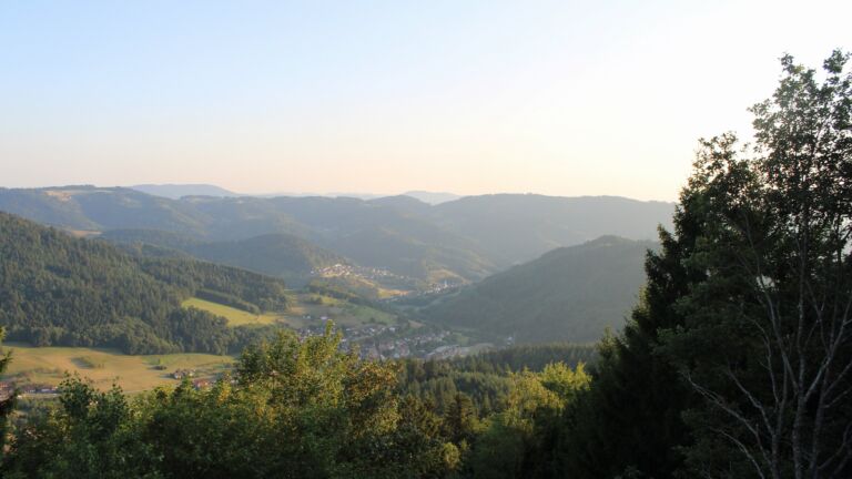 Dieses Bild zeigt eine Webcam-Aufnahme vom Achertal, aufgenommen am Mittwoch, den 29.07.2026 um 20:10 Uhr. Die Temperatur betrug 31°C.