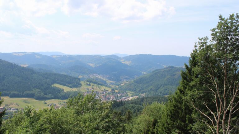 Dieses Bild zeigt eine Webcam-Aufnahme vom Achertal, aufgenommen am Donnerstag, den 16.07.2026 um 13:00 Uhr. Die Temperatur betrug 27.2°C.