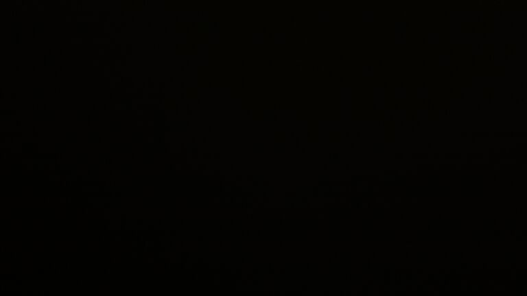 Dieses Bild zeigt eine Webcam-Aufnahme vom Achertal, aufgenommen am Donnerstag, den 21.08.2025 um 01:00 Uhr. Die Temperatur betrug 13.5°C.