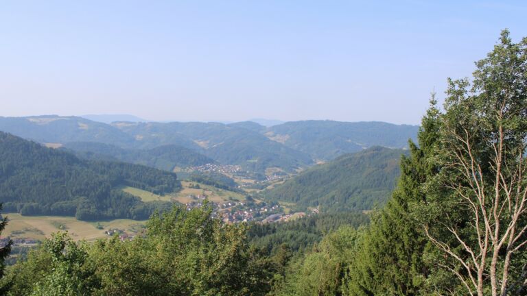Dieses Bild zeigt eine Webcam-Aufnahme vom Achertal, aufgenommen am Freitag, den 31.07.2026 um 10:10 Uhr. Die Temperatur betrug 29.4°C.