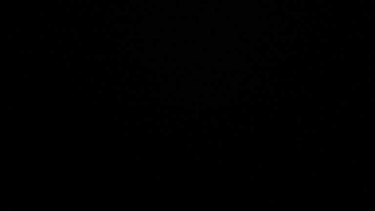 Dieses Bild zeigt eine Webcam-Aufnahme vom Achertal, aufgenommen am Samstag, den 07.06.2025 um 03:00 Uhr. Die Temperatur betrug 11.7°C.
