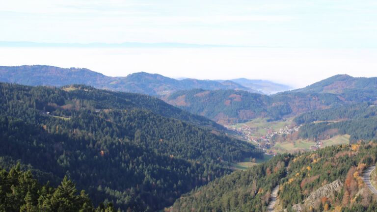 Dieses Bild zeigt eine Webcam-Aufnahme vom Achertal, aufgenommen am Donnerstag, den 06.11.2025 um 11:00 Uhr. Die Temperatur betrug 11.8°C.