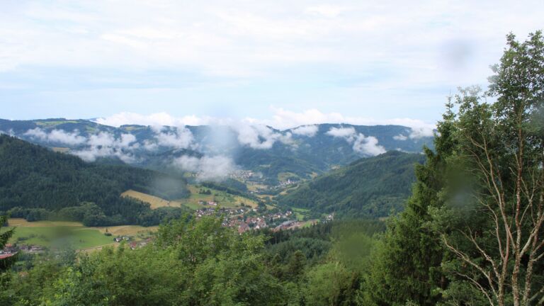Dieses Bild zeigt eine Webcam-Aufnahme vom Achertal, aufgenommen am Montag, den 29.06.2026 um 09:20 Uhr. Die Temperatur betrug 18.5°C.