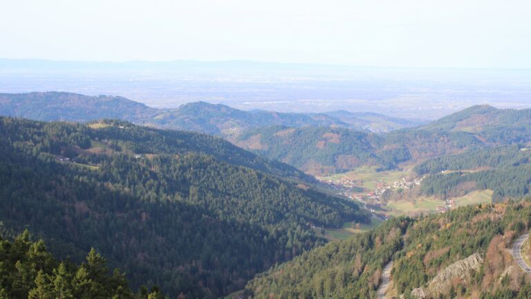 Dieses Bild zeigt eine Webcam-Aufnahme vom Achertal, aufgenommen am Donnerstag, den 13.11.2025 um 10:30 Uhr. Die Temperatur betrug 15.8°C.