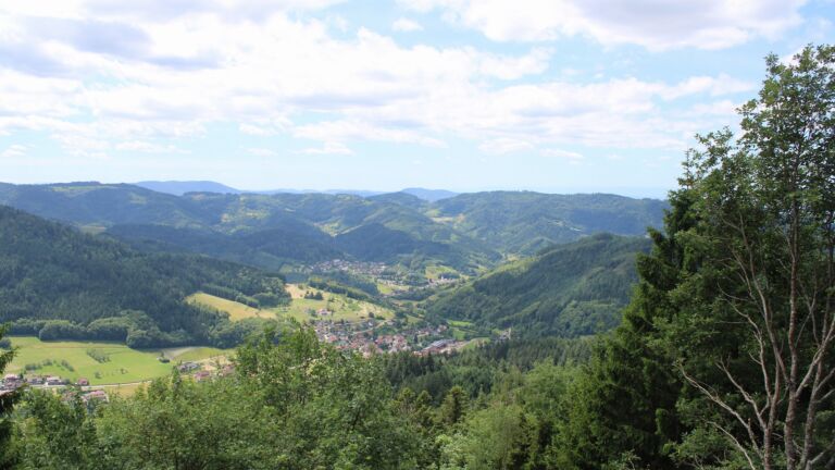 Dieses Bild zeigt eine Webcam-Aufnahme vom Achertal, aufgenommen am Sonntag, den 14.06.2026 um 12:50 Uhr. Die Temperatur betrug 18.2°C.