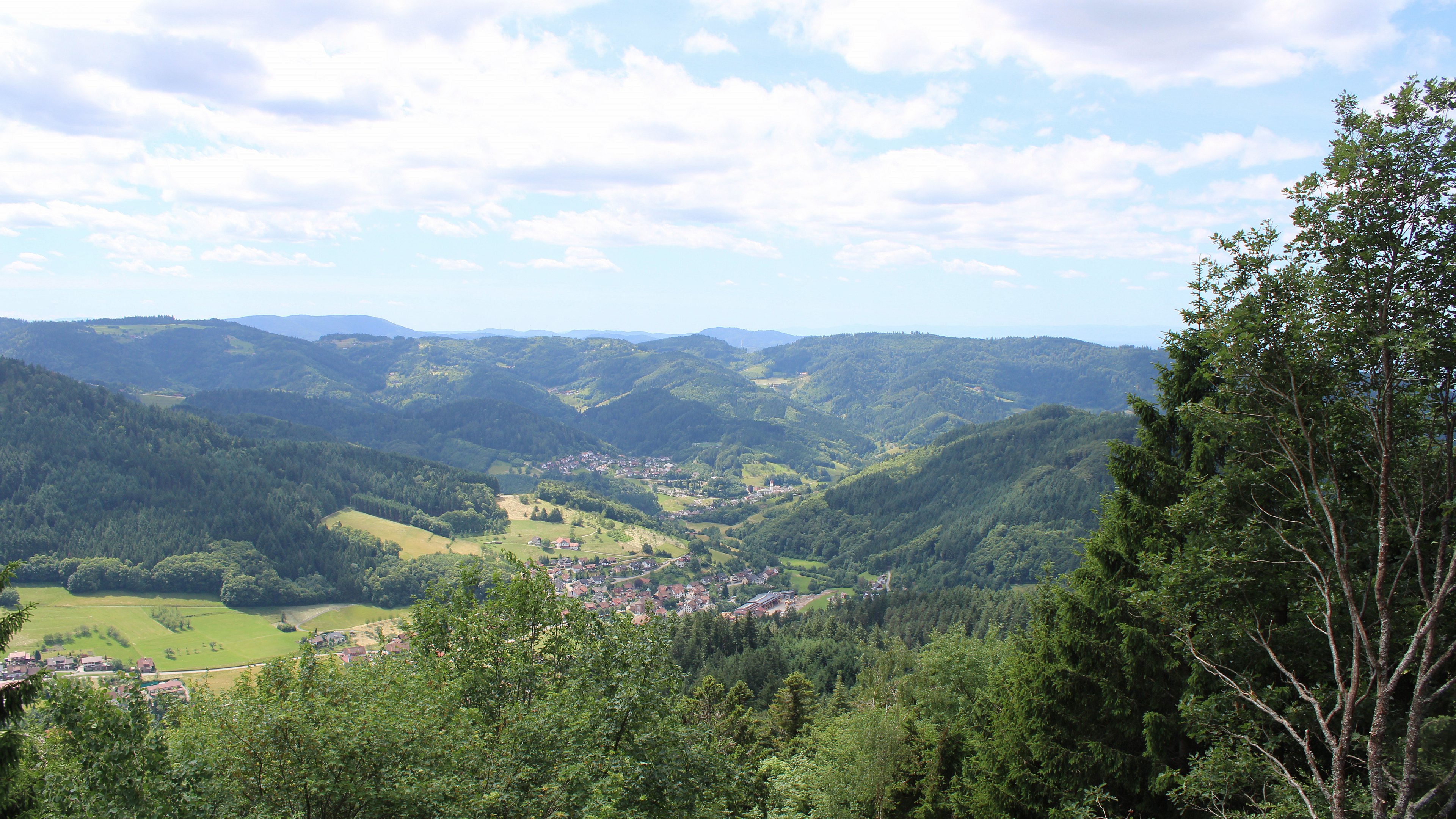 Zum Fotoarchiv vom Sonntag, 14. Juni 2026