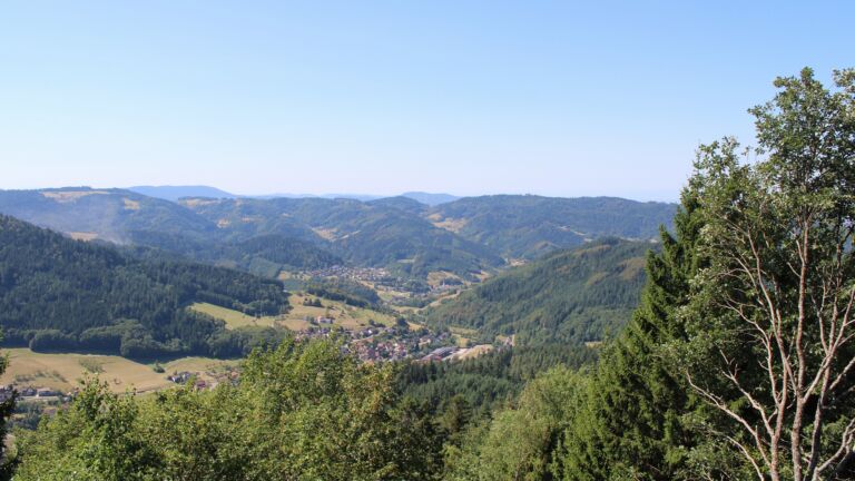 Dieses Bild zeigt eine Webcam-Aufnahme vom Achertal, aufgenommen am Mittwoch, den 12.08.2026 um 12:00 Uhr. Die Temperatur betrug 29°C.