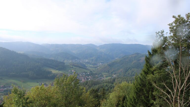 Dieses Bild zeigt eine Webcam-Aufnahme vom Achertal, aufgenommen am Freitag, den 09.10.2026 um 11:00 Uhr. Die Temperatur betrug 7.8°C.