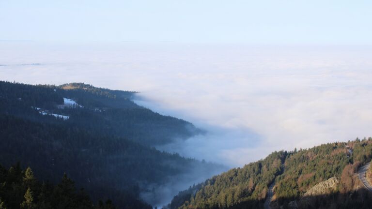 Dieses Bild zeigt eine Webcam-Aufnahme vom Achertal, aufgenommen am Sonntag, den 18.01.2026 um 10:00 Uhr. Die Temperatur betrug 7.1°C.