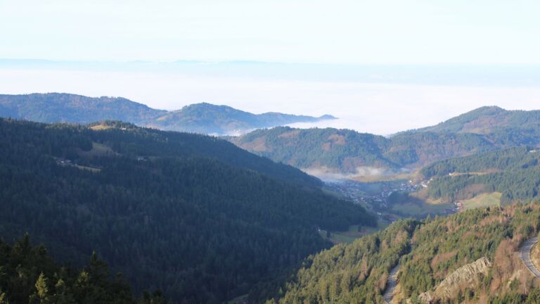 Dieses Bild zeigt eine Webcam-Aufnahme vom Achertal, aufgenommen am Sonntag, den 21.12.2025 um 10:30 Uhr. Die Temperatur betrug 6.3°C.