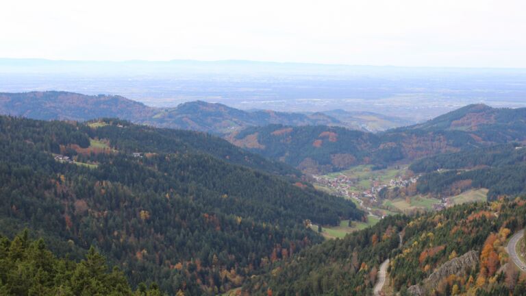 Dieses Bild zeigt eine Webcam-Aufnahme vom Achertal, aufgenommen am Mittwoch, den 29.10.2025 um 12:50 Uhr. Die Temperatur betrug 11.4°C.