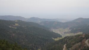 Dieses Bild zeigt eine Webcam-Aufnahme vom Achertal, aufgenommen am Samstag, den 15.11.2025 um 08:50 Uhr. Die Temperatur betrug 12.1°C.