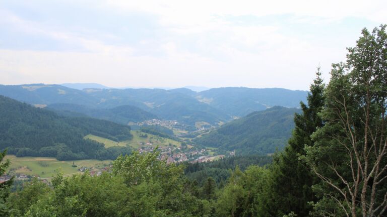 Dieses Bild zeigt eine Webcam-Aufnahme vom Achertal, aufgenommen am Mittwoch, den 15.07.2026 um 12:50 Uhr. Die Temperatur betrug 22°C.