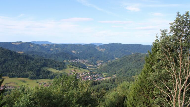 Dieses Bild zeigt eine Webcam-Aufnahme vom Achertal, aufgenommen am Freitag, den 17.07.2026 um 08:40 Uhr. Die Temperatur betrug 19.9°C.