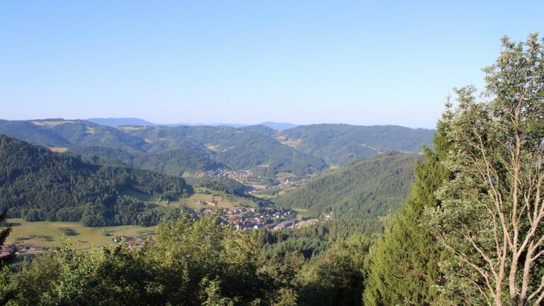 Dieses Bild zeigt eine Webcam-Aufnahme vom Achertal, aufgenommen am Freitag, den 24.07.2026 um 08:10 Uhr. Die Temperatur betrug 17°C.