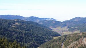 Dieses Bild zeigt eine Webcam-Aufnahme vom Achertal, aufgenommen am Mittwoch, den 25.02.2026 um 11:50 Uhr. Die Temperatur betrug 11.6°C.