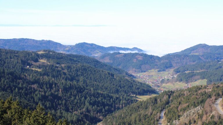 Dieses Bild zeigt eine Webcam-Aufnahme vom Achertal, aufgenommen am Mittwoch, den 25.02.2026 um 11:50 Uhr. Die Temperatur betrug 11.6°C.