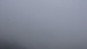 Dieses Bild zeigt eine Webcam-Aufnahme vom Achertal, aufgenommen am Mittwoch, den 11.02.2026 um 11:30 Uhr. Die Temperatur betrug 4.2°C.