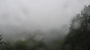 Dieses Bild zeigt eine Webcam-Aufnahme vom Achertal, aufgenommen am Donnerstag, den 11.06.2026 um 08:30 Uhr. Die Temperatur betrug 7.1°C.
