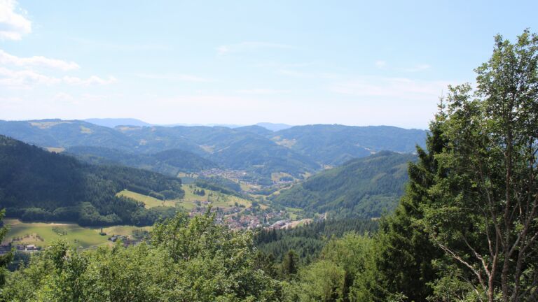Dieses Bild zeigt eine Webcam-Aufnahme vom Achertal, aufgenommen am Samstag, den 11.07.2026 um 14:10 Uhr. Die Temperatur betrug 31.6°C.