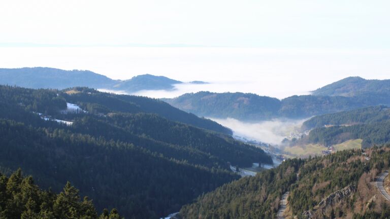 Dieses Bild zeigt eine Webcam-Aufnahme vom Achertal, aufgenommen am Mittwoch, den 21.01.2026 um 13:50 Uhr. Die Temperatur betrug 8.3°C.