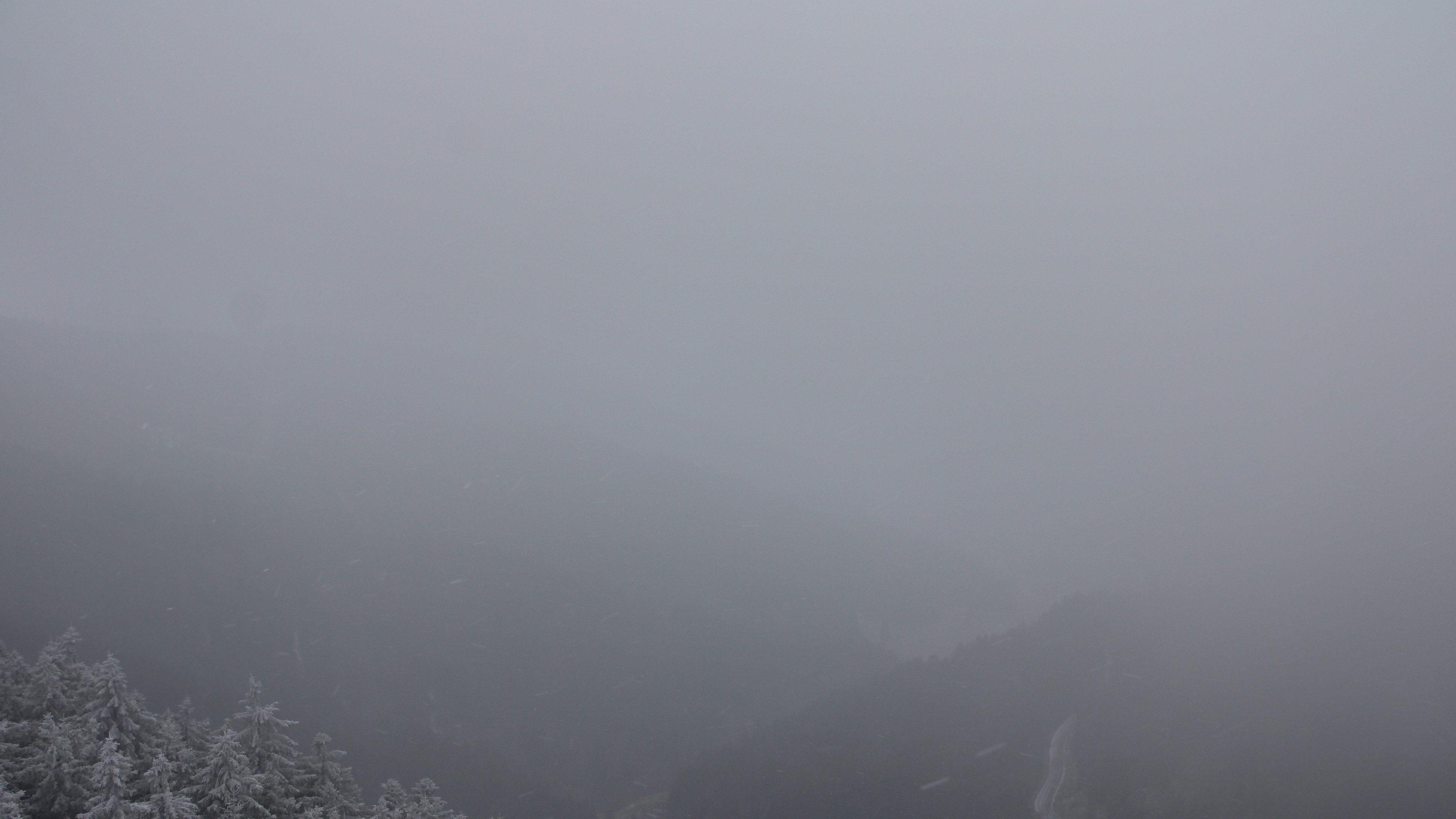 Dieses Bild zeigt eine Webcam-Aufnahme vom Achertal, aufgenommen am Mittwoch, den 24.12.2025 um 10:50 Uhr. Die Temperatur betrug -4.8°C.