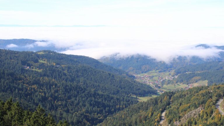 Dieses Bild zeigt eine Webcam-Aufnahme vom Achertal, aufgenommen am Mittwoch, den 08.10.2025 um 12:40 Uhr. Die Temperatur betrug 18.5°C.