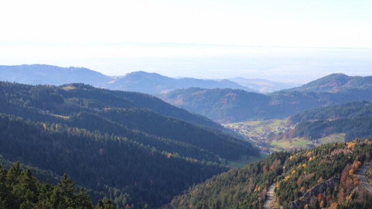 Dieses Bild zeigt eine Webcam-Aufnahme vom Achertal, aufgenommen am Mittwoch, den 05.11.2025 um 14:50 Uhr. Die Temperatur betrug 12.6°C.