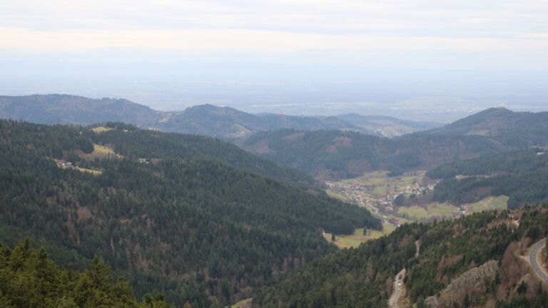 Dieses Bild zeigt eine Webcam-Aufnahme vom Achertal, aufgenommen am Freitag, den 19.12.2025 um 11:00 Uhr. Die Temperatur betrug 7.4°C.