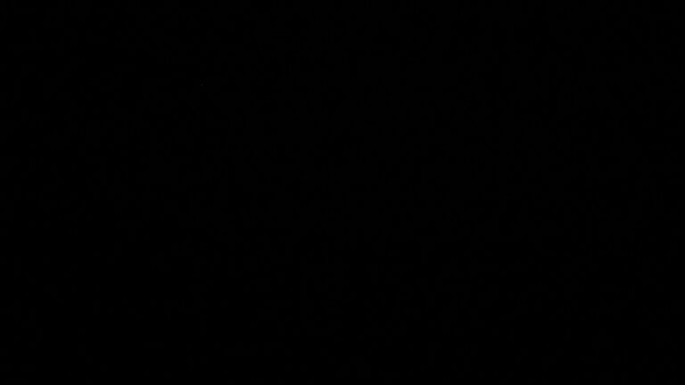 Dieses Bild zeigt eine Webcam-Aufnahme vom Achertal, aufgenommen am Donnerstag, den 12.02.2026 um 23:30 Uhr. Die Temperatur betrug 2°C.