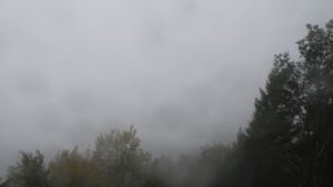 Dieses Bild zeigt eine Webcam-Aufnahme vom Achertal, aufgenommen am Mittwoch, den 28.10.2026 um 08:00 Uhr. Die Temperatur betrug 7.3°C.