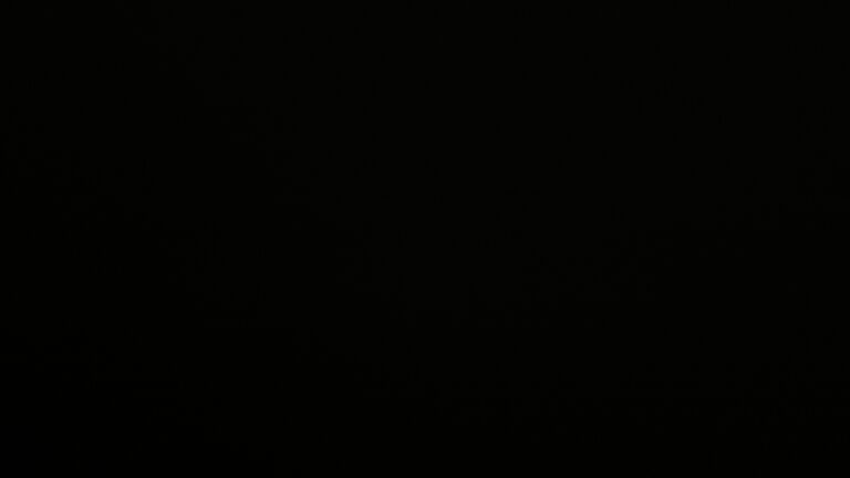 Dieses Bild zeigt eine Webcam-Aufnahme vom Achertal, aufgenommen am Freitag, den 06.02.2026 um 21:00 Uhr. Die Temperatur betrug 3.2°C.