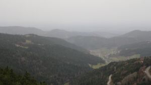 Dieses Bild zeigt eine Webcam-Aufnahme vom Achertal, aufgenommen am Freitag, den 14.11.2025 um 08:30 Uhr. Die Temperatur betrug 16.9°C.