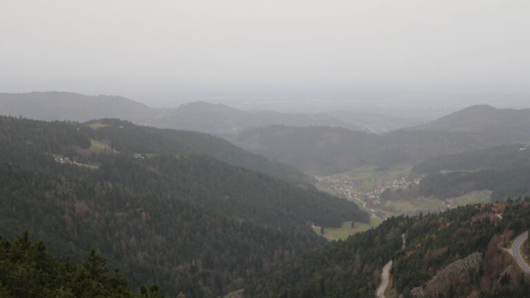 Dieses Bild zeigt eine Webcam-Aufnahme vom Achertal, aufgenommen am Freitag, den 14.11.2025 um 08:30 Uhr. Die Temperatur betrug 16.9°C.