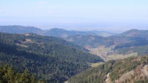 Dieses Bild zeigt eine Webcam-Aufnahme vom Achertal, aufgenommen am Dienstag, den 03.03.2026 um 11:00 Uhr. Die Temperatur betrug 11°C.