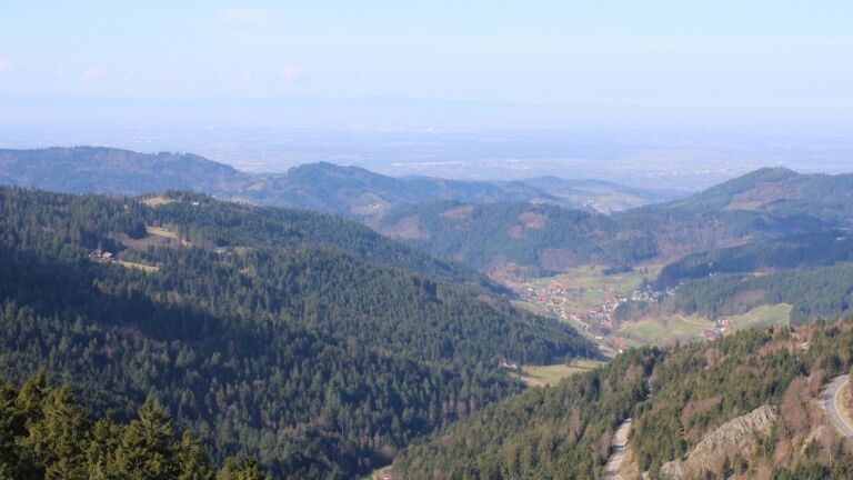 Dieses Bild zeigt eine Webcam-Aufnahme vom Achertal, aufgenommen am Dienstag, den 03.03.2026 um 11:00 Uhr. Die Temperatur betrug 11°C.