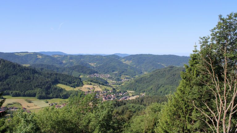 Dieses Bild zeigt eine Webcam-Aufnahme vom Achertal, aufgenommen am Freitag, den 29.05.2026 um 09:50 Uhr. Die Temperatur betrug 23.9°C.