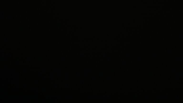 Dieses Bild zeigt eine Webcam-Aufnahme vom Achertal, aufgenommen am Sonntag, den 07.12.2025 um 20:30 Uhr. Die Temperatur betrug 7.2°C.