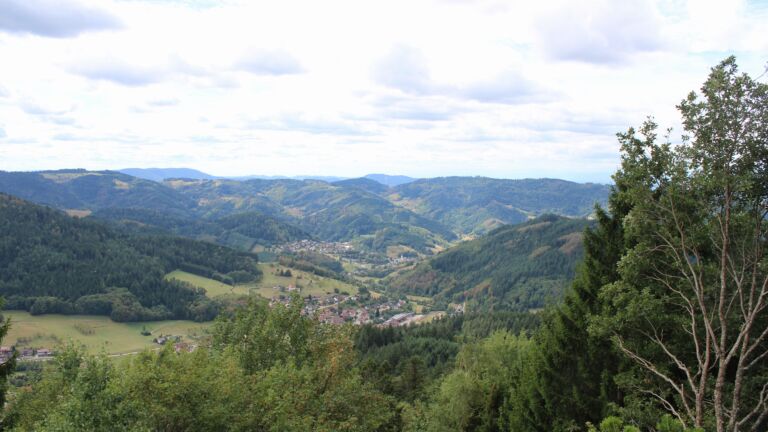 Dieses Bild zeigt eine Webcam-Aufnahme vom Achertal, aufgenommen am Samstag, den 29.08.2026 um 12:50 Uhr. Die Temperatur betrug 20.2°C.